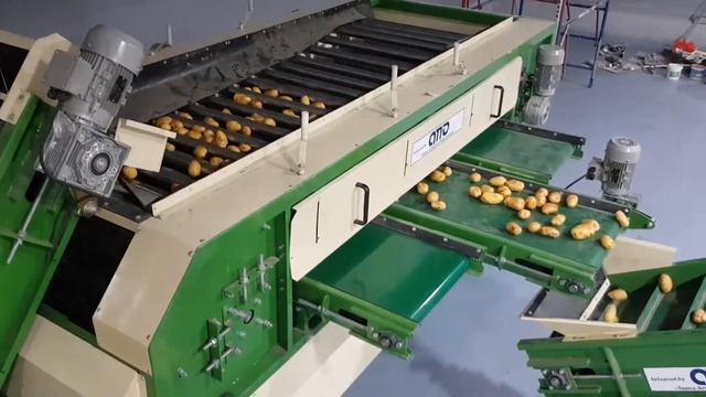 оборудование машина для сортировки калибровки овощей, картофеля, моркови, лука по размеру смотреть онлайн