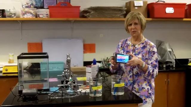 Ocean acidification model set up Mrs Foy explains Step 1 смотреть онлайн