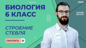 Строение стебля. Урок 9. Биология 6 класс