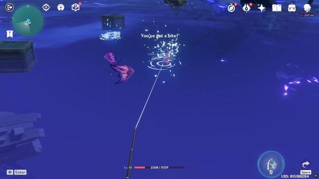 Raimei Angelfish Genshin Impact