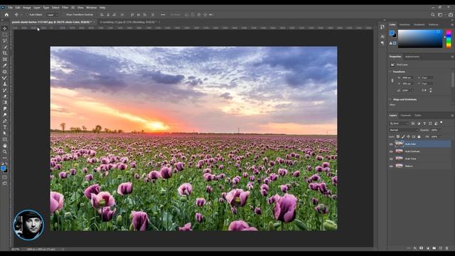 How to Use Auto Tone, Auto Color & Auto Contrast in photoshop – 30 Days Challenge смотреть онлайн