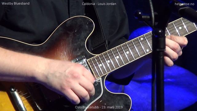 Westby Bluesband - Caldonia - Louis Jordan - Oslo Bluesklubb - 2019 смотреть онлайн