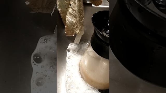 Joci And Friends Dishwash Verses Coffee Scale