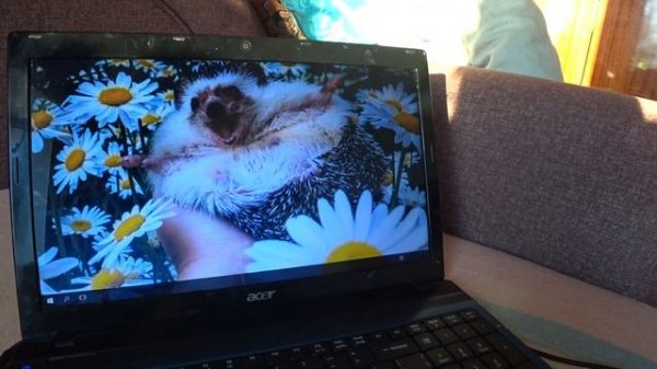 Acer Aspire 5750ZG проблемы с Windows 10/ Характеристики и драйвера