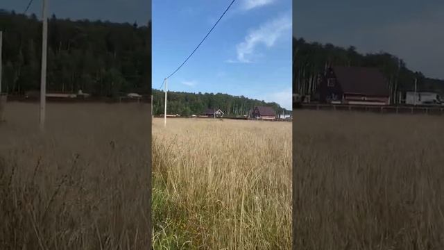 Участок № 283 - 8 соток - 240 000 ₽ в ДНТ Приозерские дачи Горьковское шоссе 100 км смотреть онлайн