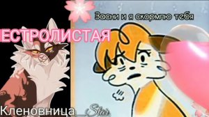 УТЕРЯННЫЕ ФАЙЛЫ КОТЫ-ВОИТЕЛИ@Mapleshade_Star