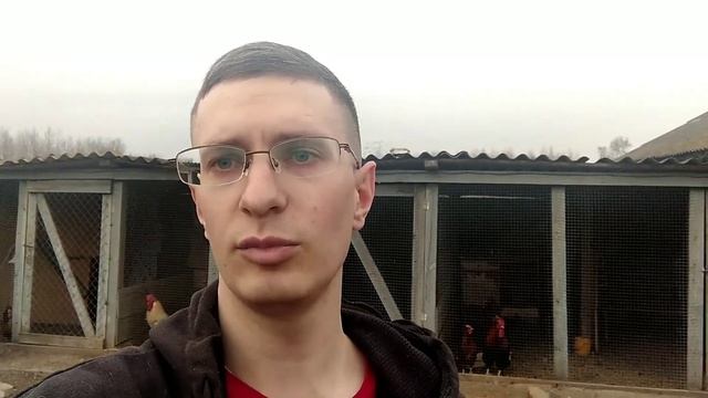 О выгулах! Какую траву сеять на выгуле? все гуляют смотреть онлайн