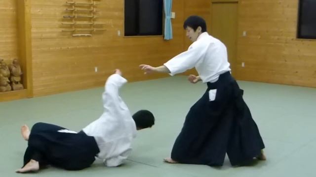 【Aikido】Kokyu Nage‐Shirakawa Ryuji sensei смотреть онлайн
