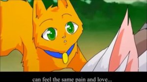 Битва Коты Воители: Рыжик VS Долгохвост