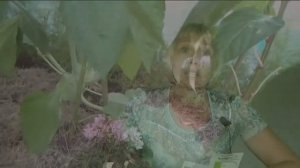 Двойной УРОЖАЙ в теплице. Реально даже в Сибири!