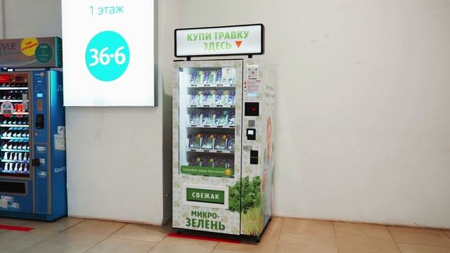 Микрозелень в южном бутово смотреть онлайн