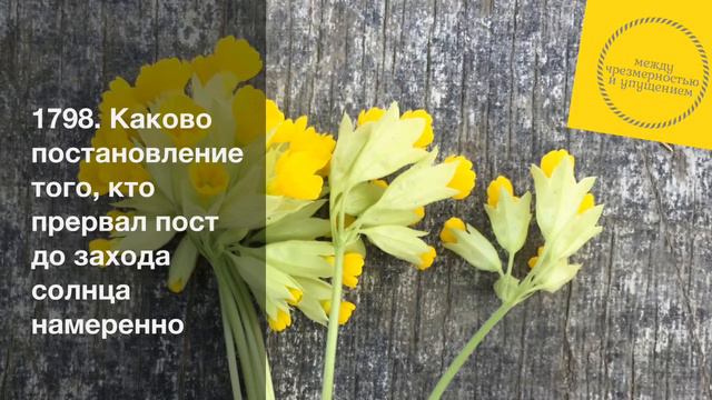 Каково постановление того, кто прервал пост до захода солнца намеренно / Шарх Булуг иль-марам смотреть онлайн