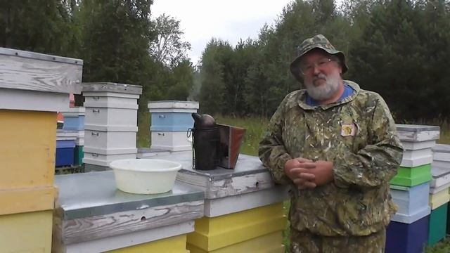 Какой мёд качаем сегодня ? смотреть онлайн