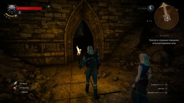 Охота на Дикую Охоту [Ведьмак 3: Дикая Охота #19] смотреть онлайн