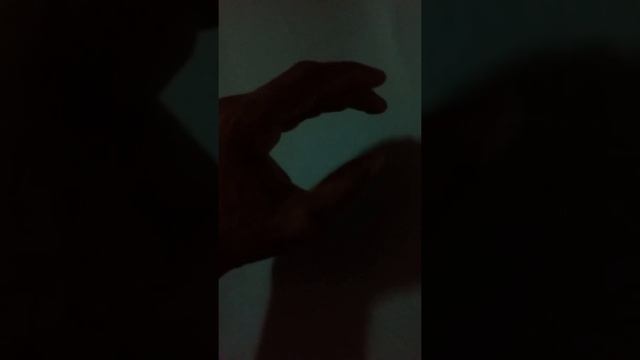 Edward Muybridge sequence смотреть онлайн