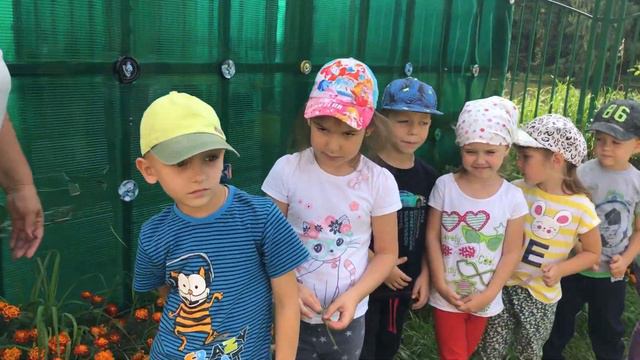 Квест игра. смотреть онлайн