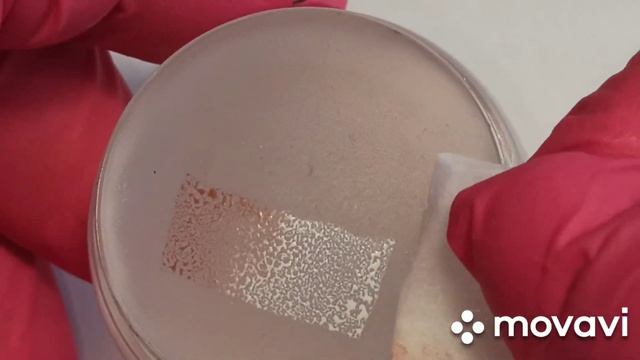 Nail Art/BORN PRETTY/распаковка+дизайн ОСЕННИЕ ЛИСТЬЯ смотреть онлайн