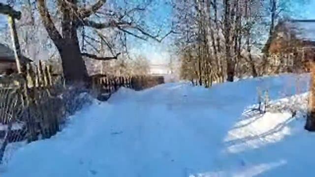 Солнечный стрим в январский морозец смотреть онлайн