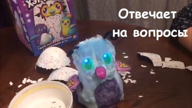 Обзор Хетчималс
