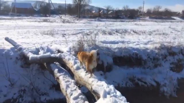 Это фиаско, братан (Часовая версия) смотреть онлайн