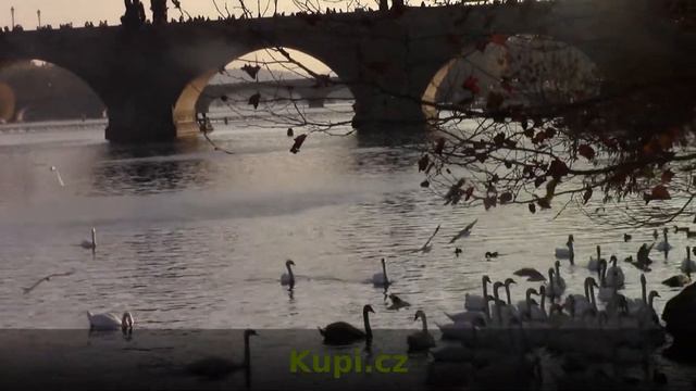 Прибытие в Чехию. О документах и моём жилье. Часть 1. смотреть онлайн