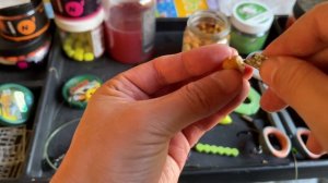 Ловля карпа в октябре, охота за осенним карпом. Рыбалка близ Алматы #fishing #carpfishing #fish