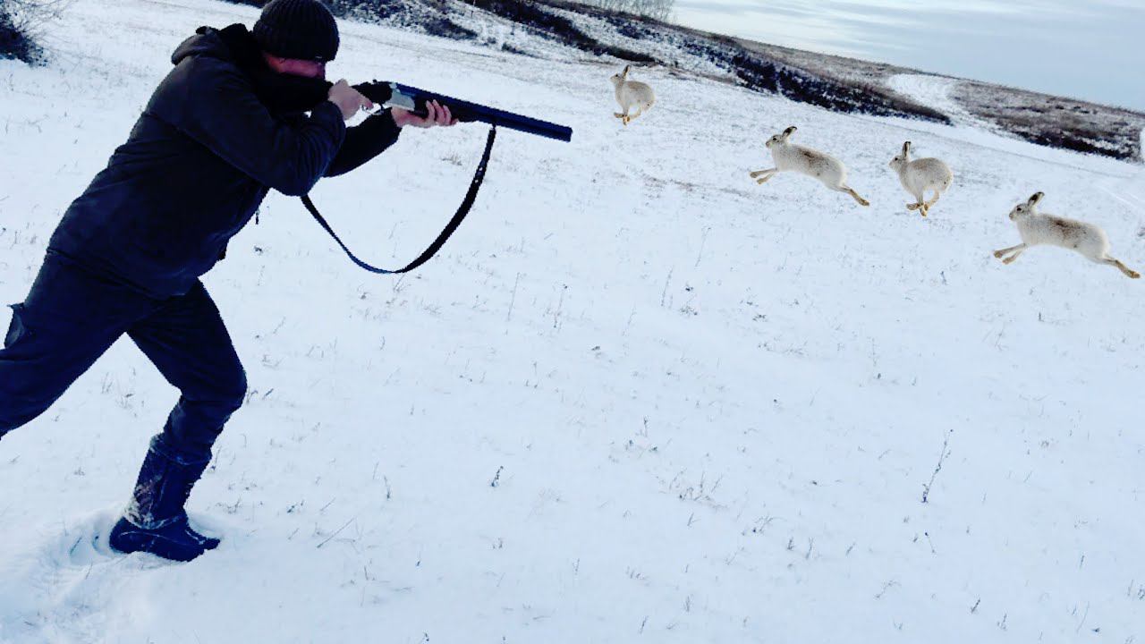 Настреляли Зайцев на Афганский Казан. Таёжная Избушка приютила!!! смотреть онлайн