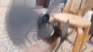 Редуктор для ветрогенератора своими руками