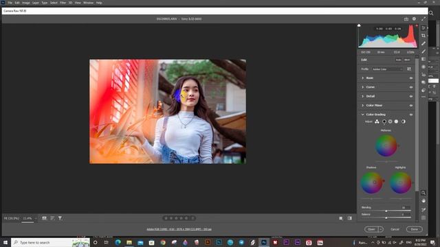 Outdoor Preset by Adobe Photoshop CC / Camera Raw Filter | TheRockMan смотреть онлайн