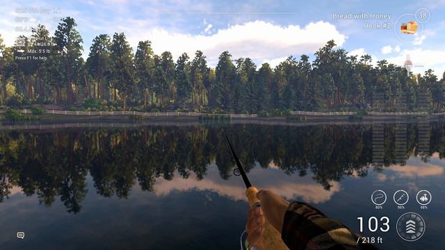 Fishing Planet/ Czech Republic/ Lesni Vila Fishery/ Let's Play/ Let's Fish смотреть онлайн