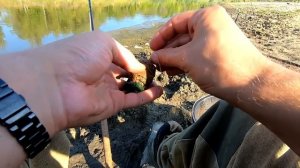 РЫБАЛКА на ФИДЕР!поклёвки КРУПНЫМ планом!Рыбалка на фидер и флэт фидер в сентябре 2022