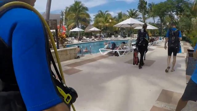 Mexico, Puerto Aventuras, 2016. Diving. P1 смотреть онлайн