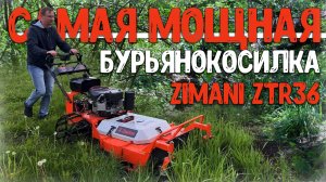 Когда она косит - ВЫНОСИТ МОЗГ, смотришь и не веришь! Бурьянокосилка ZimAni ZTR36