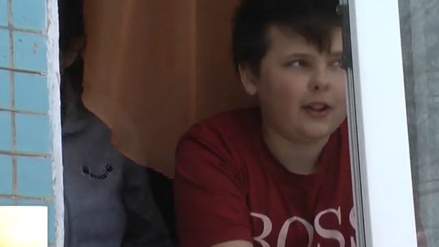 Сюжет про собак