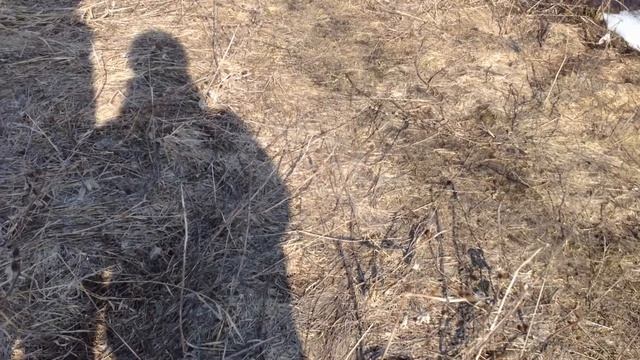 ✪Отдых на речке✪Печём картошку на костре✪ смотреть онлайн