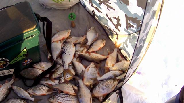 Безмотылконтрацептив против безмотылки. смотреть онлайн