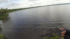 РЫБАЛКА НА ВОБЛЕРЫ. Воблер PONTOON 21 Agarron 95SF-SR.