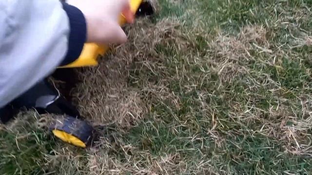 Пополнение садовой техники/Купили и тестируем аэратор скарификатор Champion ESC1532/@wetrudyazhki смотреть онлайн