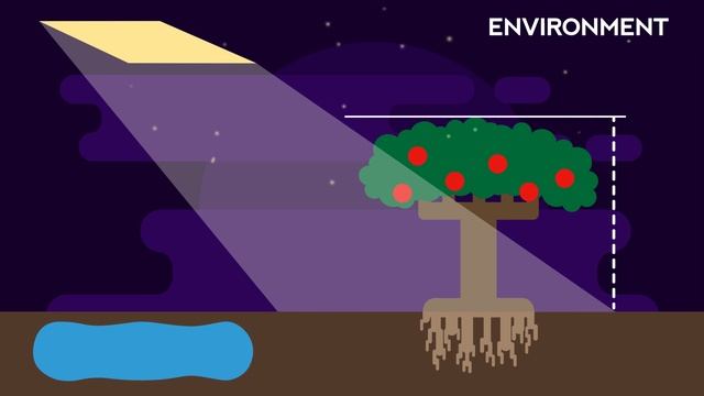 Nature Vs Nurture | Genetics | Biology | FuseSchool