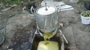 Очистка орехов от зелёной кожуры