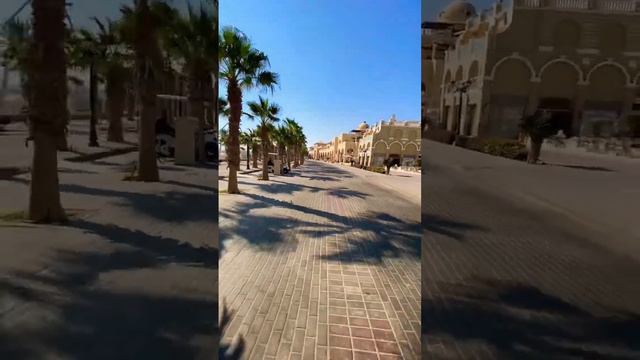 Пальмы ,пальмы,эх прокачусь😅 смотреть онлайн