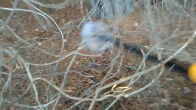 Копаем мерзлоту в поисках металла.