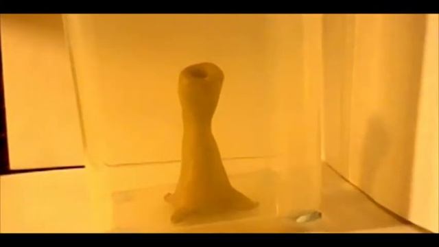 Anomalies from the SCP Foundation 1 смотреть онлайн