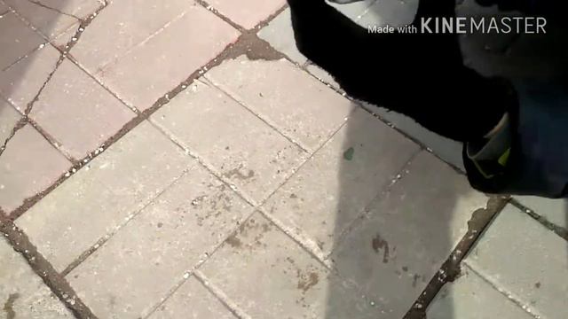Разбил телефон! смотреть онлайн