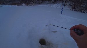 Меняю игру БЕЗМОТЫЛКИ для осторожной рыбы и ловлю! Ловля плотвы на безмотылку! Зимняя рыбалка 2022!