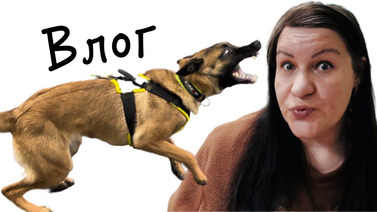 А с виду такая милая Влог смотреть онлайн