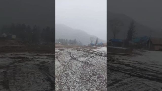 25 ноября. Снежный день в Усть-Кане?#республикаалтай смотреть онлайн