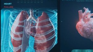 Что происходит с организмом, когда мы задерживаем дыхание