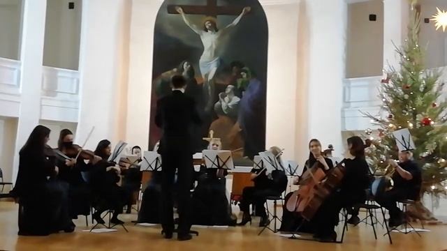 Новогодний Штраус - гала. 27.12.2020 смотреть онлайн