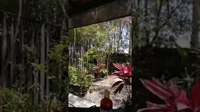 БОГОРОДИЦА НА ПРОСКОМИДИЈИ смотреть онлайн